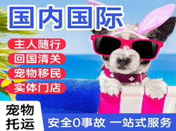 乌兰浩特航空邮寄国际宠物托运 【国